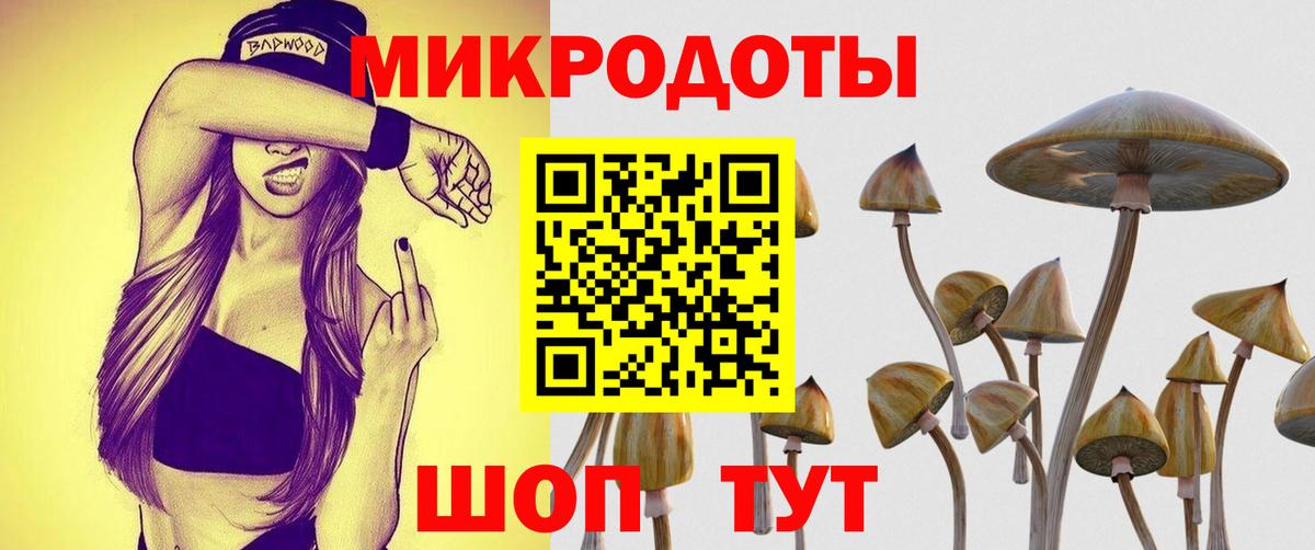 Россия  Галлюциногенные грибы Cubensis  Вход с VPN 